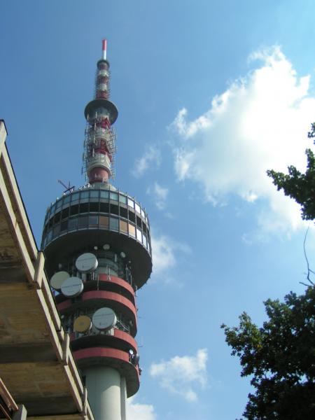 pict4803 (web)